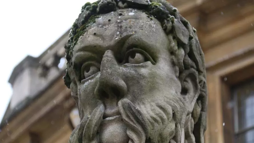 oxford head